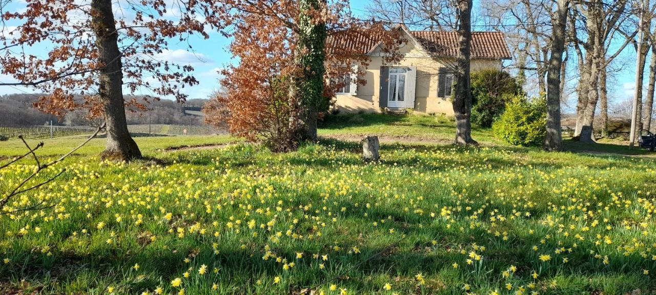 فيلا Moulin De Bigorre Saint-Genès-de-Castillon المظهر الخارجي الصورة