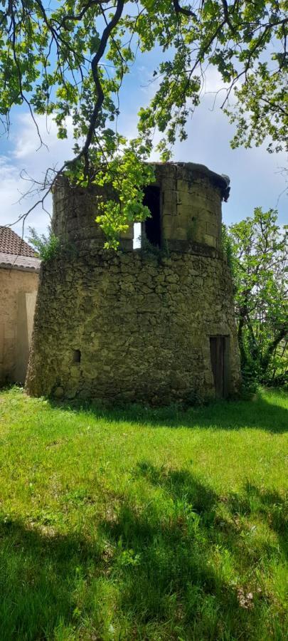 فيلا Moulin De Bigorre Saint-Genès-de-Castillon المظهر الخارجي الصورة