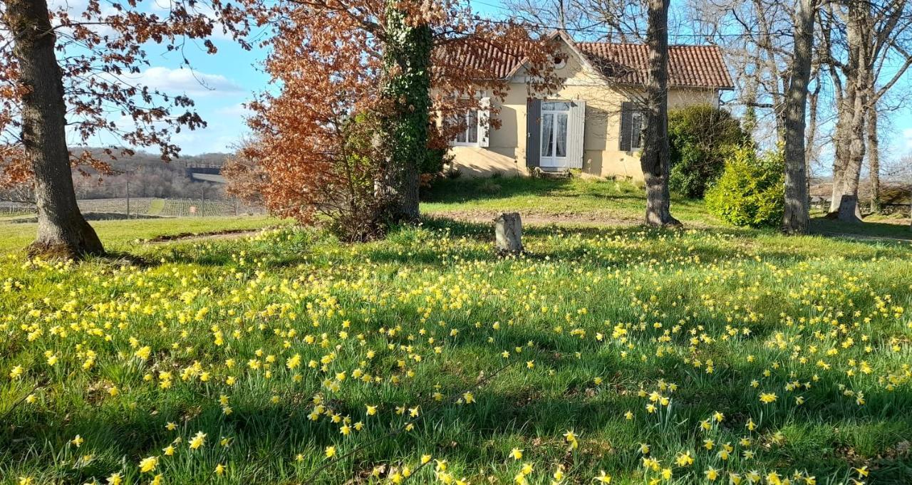 فيلا Moulin De Bigorre Saint-Genès-de-Castillon المظهر الخارجي الصورة